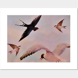 Seagull birds flying over the ocean Posters and Art